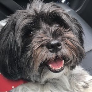 Meet your Posher, Stela